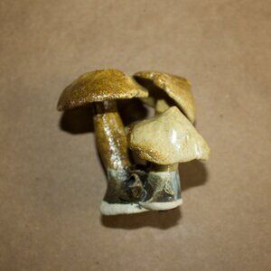 Mushrooms